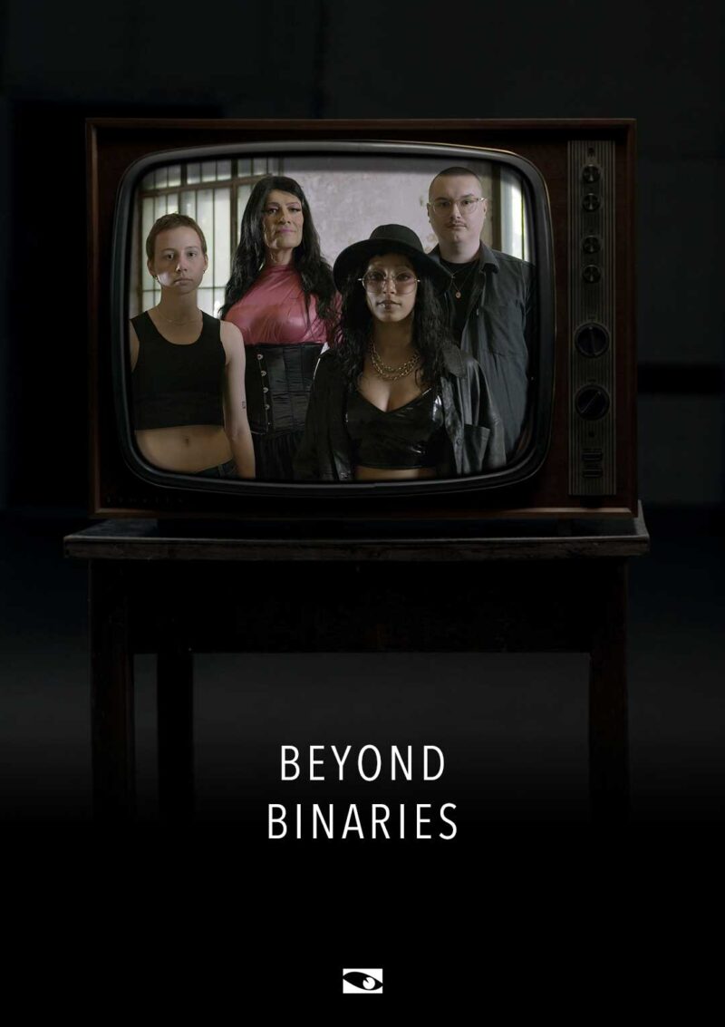 Plakat Beyond Binaries. Vier Personen in einem alten TV Fernseher.