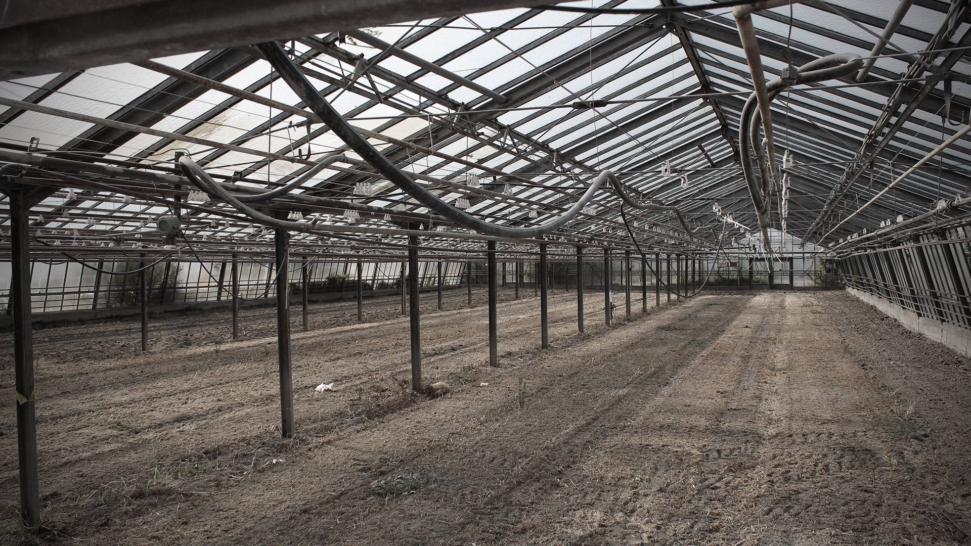Leeres Glashaus mit Metallstreben und kahlem Boden. Transparente Decke, kalte Lichtstimmung.